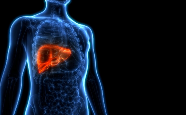  Role of thymosin beta 4 in non-alcoholic fatty liver