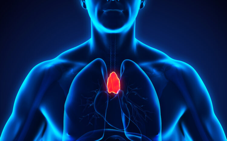  Health Consequences of Thymus Removal in Adults