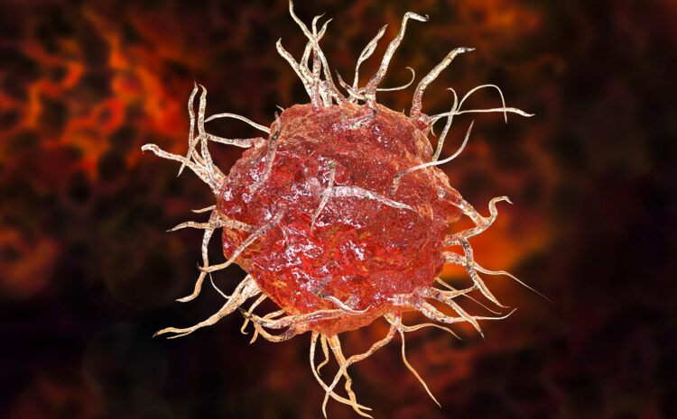  Tymozyna α1 w zakażeniu ludzkim wirusem cytomegalii