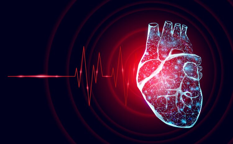  Thymosin Beta 4 as important part of novel heart repair post-myocardial infarction therapy